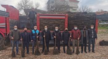 Osmaneli’Nde Meyve Ormanları Oluşmaya Başladı
