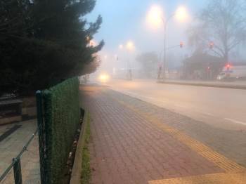 Osmaneli’Nde Sis Etkili Oldu
