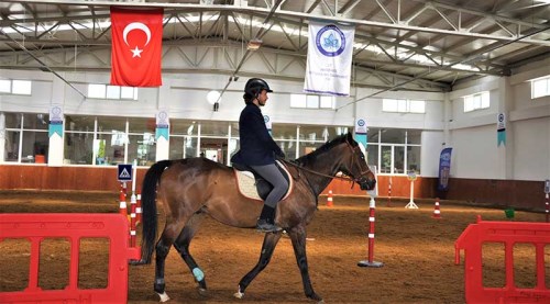 Osmanlı’nın at yetiştirme merkezi Eskişehir'de...
