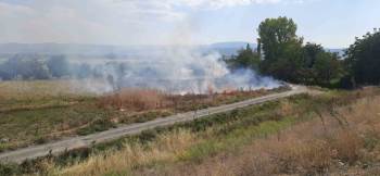 Otluk Alanda Çıkan Yangın Korkuttu
