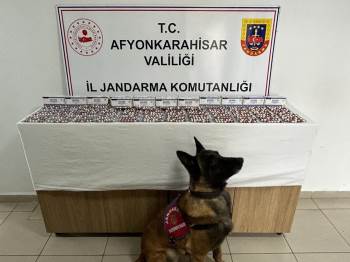 Otobüs Terminalinden Uyuşturucu Dolu Çantayı Alır Almaz Gözaltına Alındı
