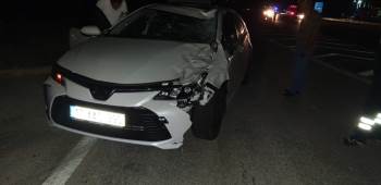 Otomobilin Çarptığı At Telef Oldu
