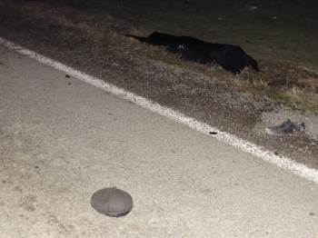 Otomobilin Çarptığı Yaya Hayatını Kaybetti
