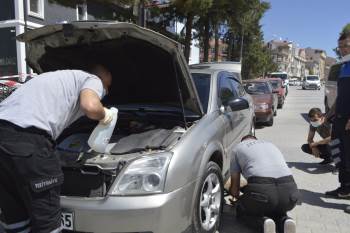 Otomobilin Motoruna Sıkışan Kedi Kurtarıldı
