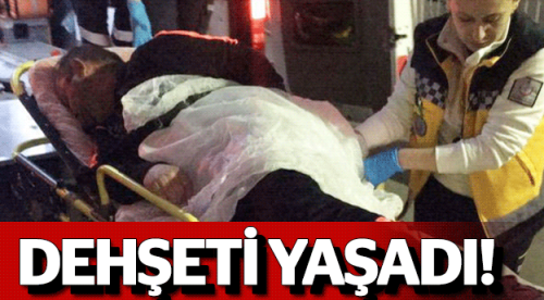 OTOSTOPÇU KIZLARI ARACINA ALDI