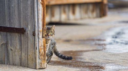 Öylece donup kaldı