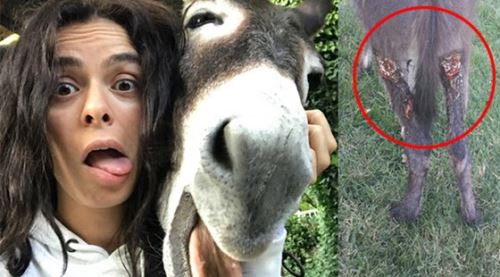 Özge Özpirinçci'nin 'sıpa'sı büyüdü 