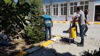 Pansiyon Yapılacak Alandaki Ağaçlar Nakil Edildi
