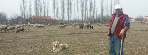 PARASI ÇOK, YAPAN KALMADI