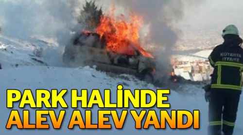 Park halinde alev alev yandı