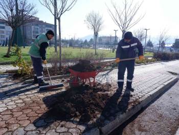 Parklarda Çalışmalar Sürüyor
