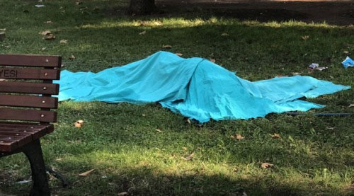 Parkta korkunç son!