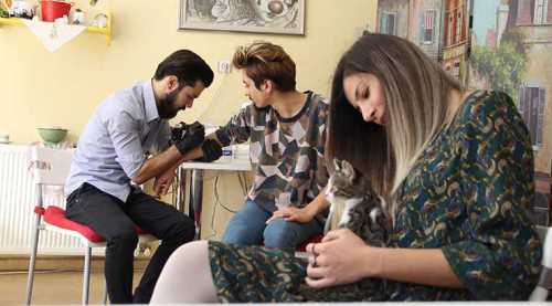 Patili dostlar yararına kedili dövme