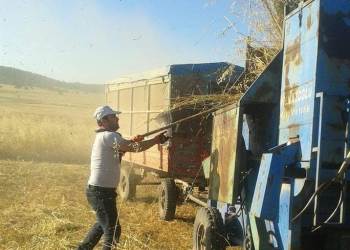 Patoz Makinaları Hala İş Başında
