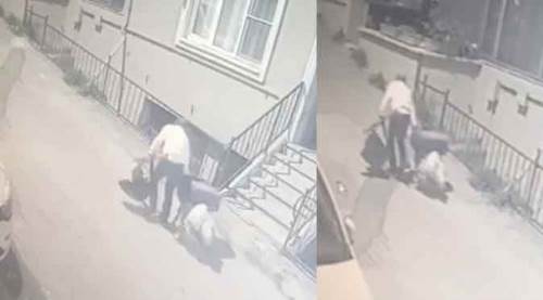 Pazar arabasıyla hırsızlığa çıktı!