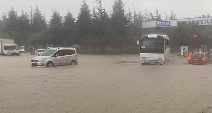 Pazar Yerinde Geniş Kapsamlı Denetim
