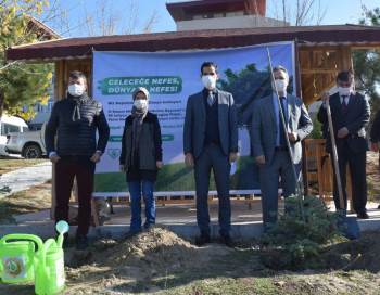 Pazarlar, Geleceğe Nefes İçin 200 Fidan Dikti
