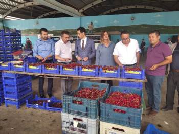 Pazarlar Kirazı, "Kütahya Pazarlar Kirazı" Olarak Tescillendi
