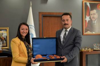 Pazaryeri, Sanayi Yatırımcılarını Bekliyor
