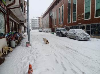 Pazaryeri İlçesi Kar Altında Bir Başka Güzel
