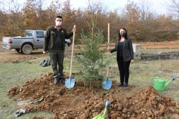 Pazaryeri’Nde ’Milli Ağaçlandırma Günü’ Etkinliği
