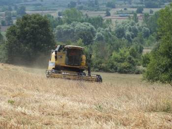 Pazaryeri’Nde Buğday Arpa Hasadı Başladı

