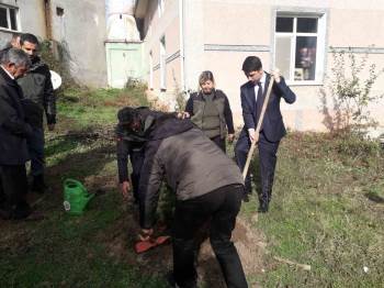 Pazaryeri’Nde Fidanlar Toprakla Buluştu
