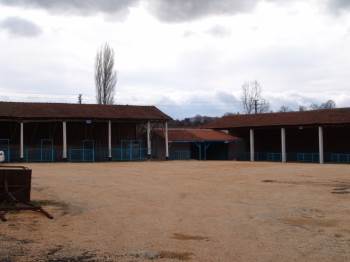 Pazaryeri’Nde Hayvan Pazarı Yeniledi
