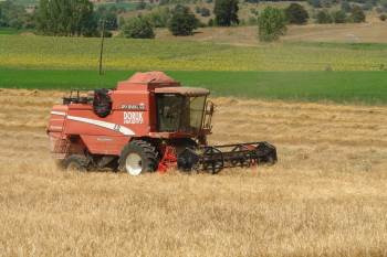 Pazaryeri’Nde Hububat Hasadına Başlanıldı
