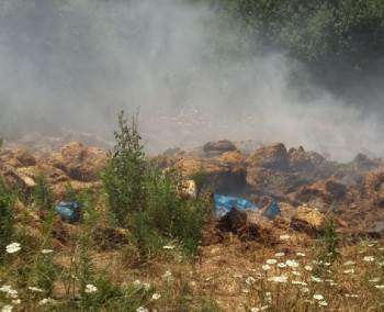 Pazaryeri’Nde Samanlar Alev Alev Yandı
