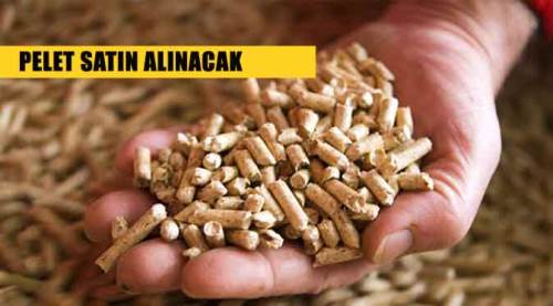 Pelet satın alınacak