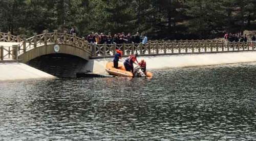 Piknikte facia! 4 kişi boğularak öldü