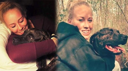 Pitbul cinsi köpekler kadını öldürüp yedi