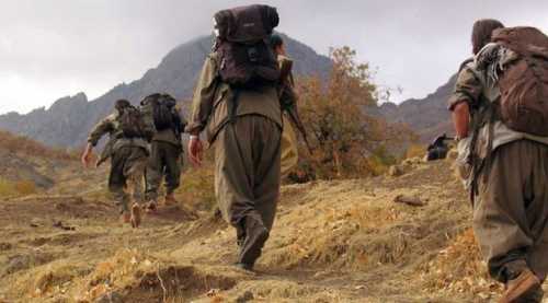 PKK yol kesip uzmanları kaçırdı!