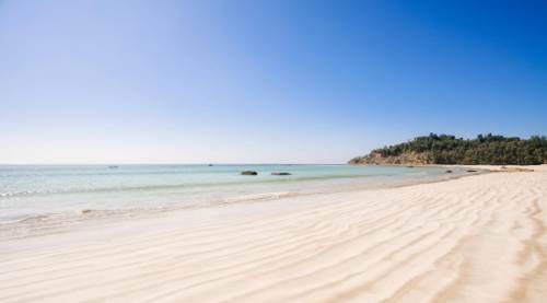 Plajda Kene Olur Mu? Plajda Kene Tehlikesi ve Korunma Yolları 