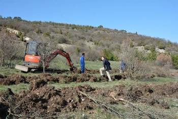 Porsuk Barajı Havzası Ağaçlandırılıyor
