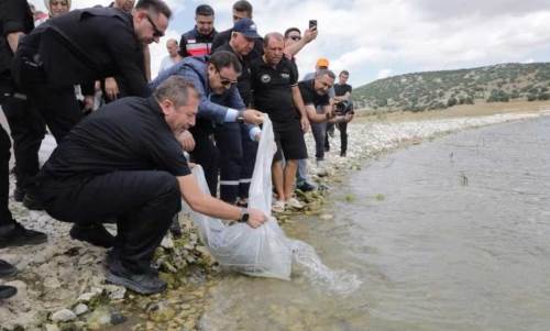 Porsuk Barajı’na 107 bin 500 balık yavrusu bırakıldı