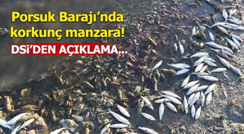 Porsuk Barajı'nda korkunç manzara!