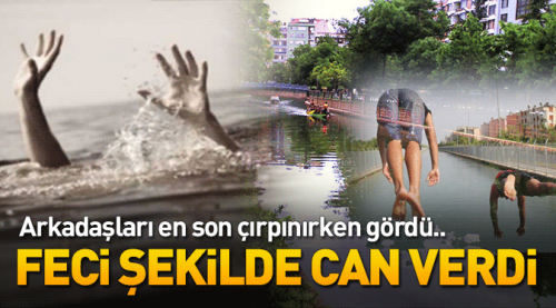 Porsuk Çayı'na girdi çıkamadı!