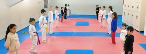 Porsuk Spor Salonu’nda Taekwondo Mesaisi Sürüyor