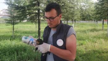 Poşetin İçerisinde Ölüme Terk Edilen Köpek Yavruları Son Anda Kurtarıldı
