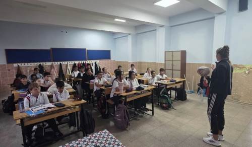 Ragbide taramalar sürüyor