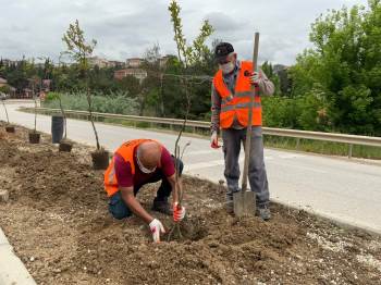 Refüjlerde Ağaçlandırma Çalışmaları Başladı
