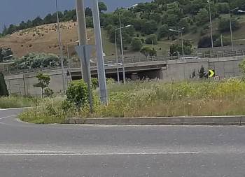 Refüjlerde Yükselen Otlar Sürücülerin Görüş Açısını Daraltıyor
