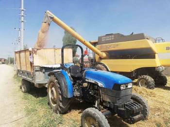 Reis Buğday Çeşidinin Hasan Kontrolü Yapıldı
