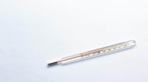 Rektal Yol Nedir? Anlamı ve Önemi