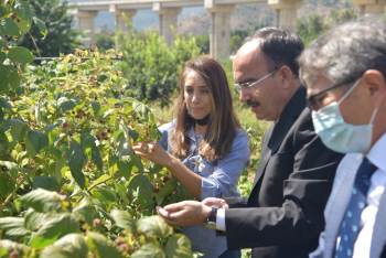 Rektör Beydemir, Miniklerle Piknik Yaptı
