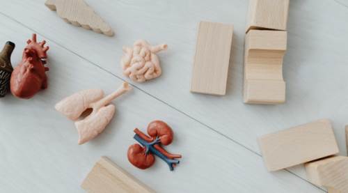 Renal Kolik Nedir? Belirtileri, Nedenleri ve Tedavi Yöntemleri