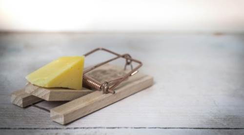 Riziko Nedir? Ne için Önemlidir? Risk Yönetimi ve Stratejileri