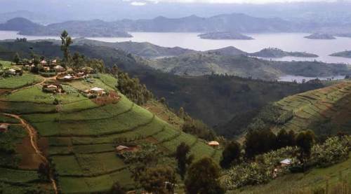 Ruanda Neden Gündem Oldu? Ruanda Nerede? Ruanda'nın Dil ve Din Yapısı, Nüfusu ve Türkiye’den Nasıl Gidilir?